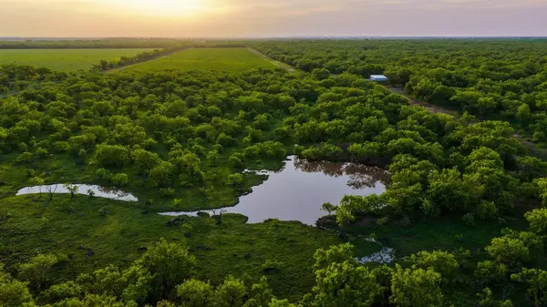 10000 Fm 209, Graham, TX 76450