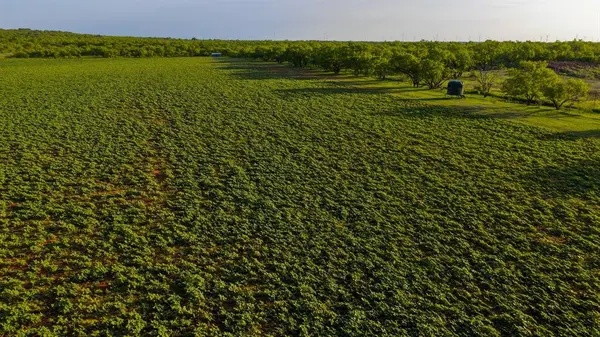 10000 Fm 209, Graham, TX 76450