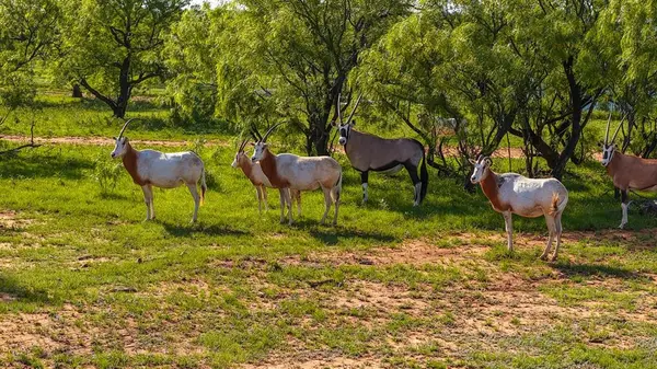 10000 Fm 209, Graham, TX 76450