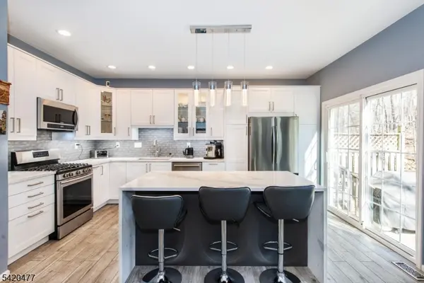 10 Gannet Ct, Wayne Twp., NJ 07470