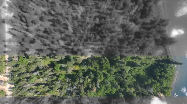 Lot 6 PLAN 6M499, North Munro Lake RD, Black River-matheson, ON P0K 1N0