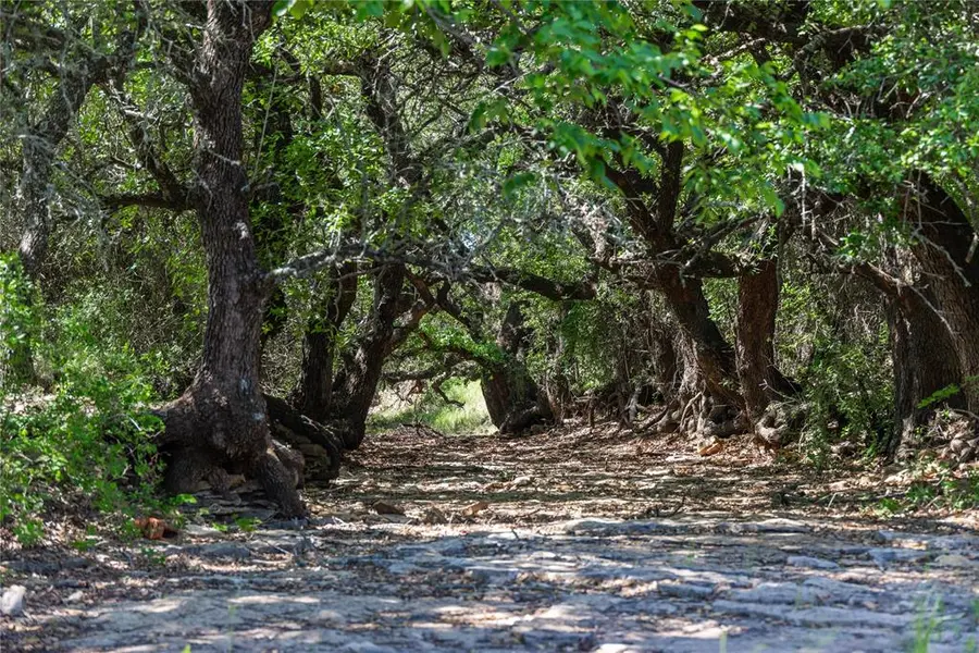 91 Acres Co Rd 370, Carbon, TX 76435