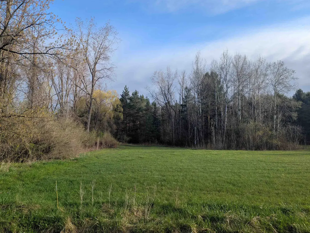 N/A Pine ST, Arenactownship_arenac, MI 48749