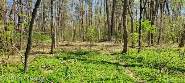 00 VL Pady, Brightontownship_livingston, MI 48114