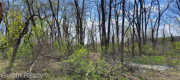 00 VL Pady, Brightontownship_livingston, MI 48114