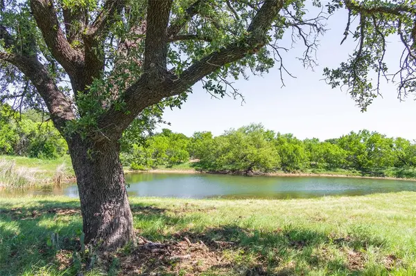 91 Acres Co Rd 370, Carbon, TX 76435