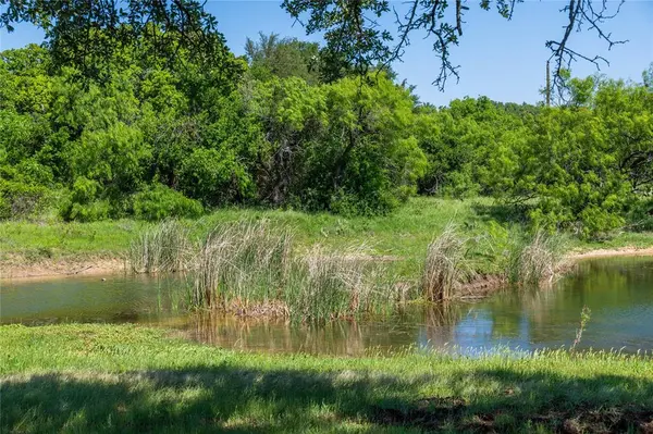 91 Acres Co Rd 370, Carbon, TX 76435