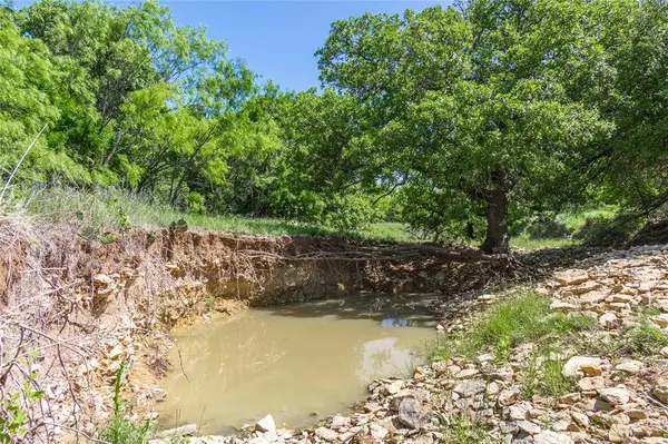 91 Acres Co Rd 370, Carbon, TX 76435