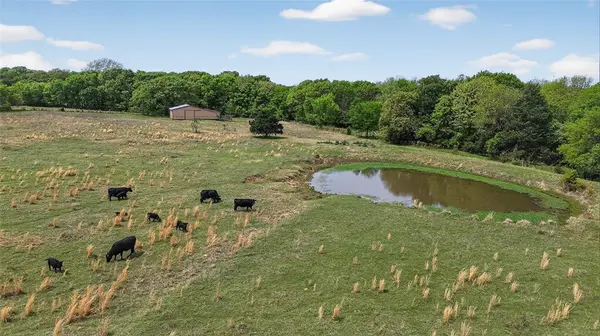 539 Cemetery Road, Pottsboro, TX 75076