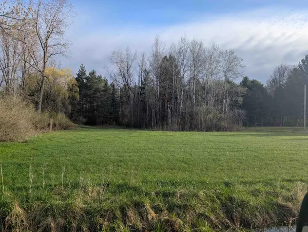 N/A Pine ST, Arenactownship_arenac, MI 48749