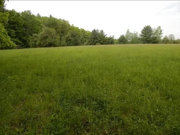 Kings Corner RD, Mikadotownship_alcona, MI 48745