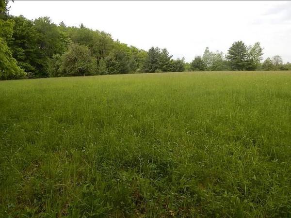 Kings Corner RD, Mikadotownship_alcona, MI 48745