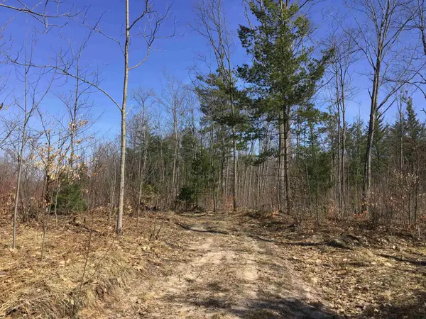 80 VL Mackinaw TRL, Haringchartertownship_wexford, MI 49601