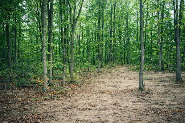 8904 Cedar Creek DR, Springvaletownship_emmet, MI 49770