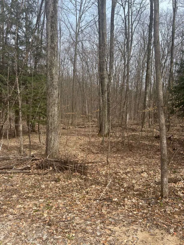 Lost Lake RD, Inlandtownship_benzie, MI 49617