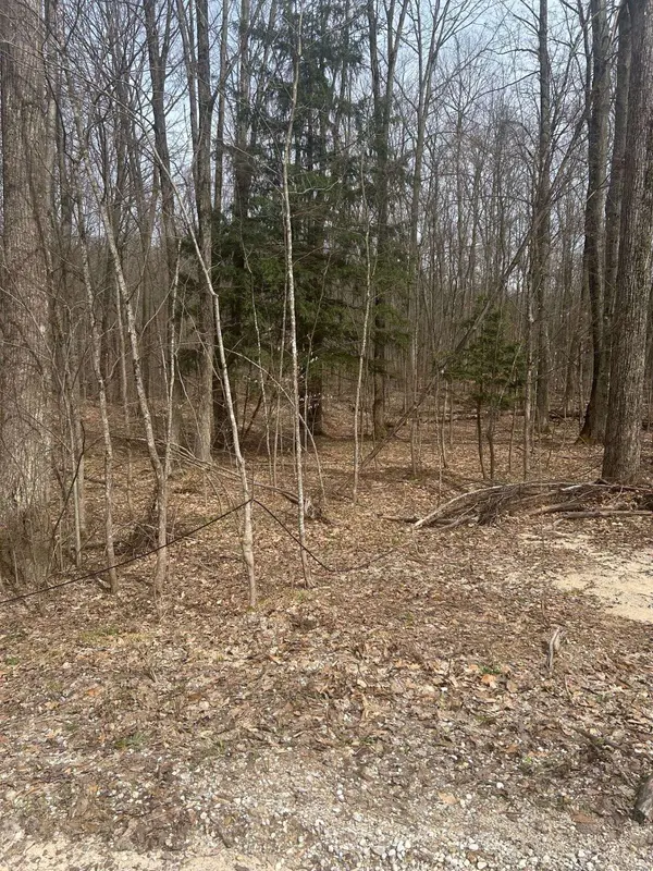 Lost Lake RD, Inlandtownship_benzie, MI 49617