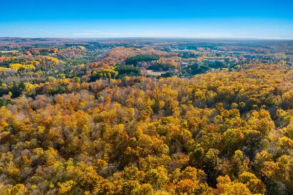 1452 Case RD, Benzoniatownship_benzie, MI 49616