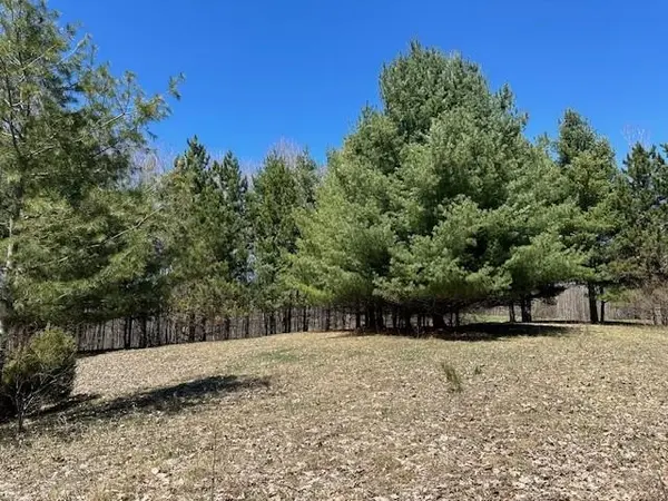 Lots B & C SE Torch Lake DR, Forest Home Twp, MI 49615