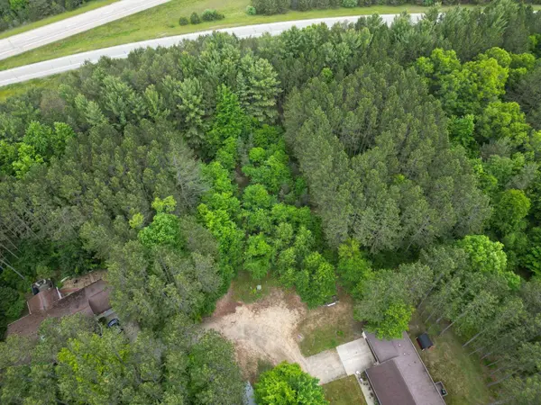 TBD Primrose LN, Surreytownship_clare, MI 48622