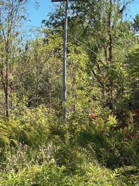 7300 Pontiac TRL, Salemtownship_washtenaw, MI 48178