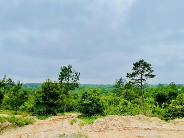 2665 County Road 3940, Mineola, TX 75773