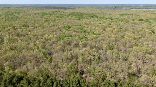 909 FM, Bogata, TX 75417