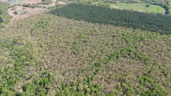 909 FM, Bogata, TX 75417