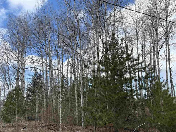 2450 N Marshall RD, Benzoniatownship_benzie, MI 49640