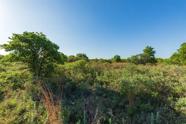 TBD Private Road 705, Anson, TX 79501