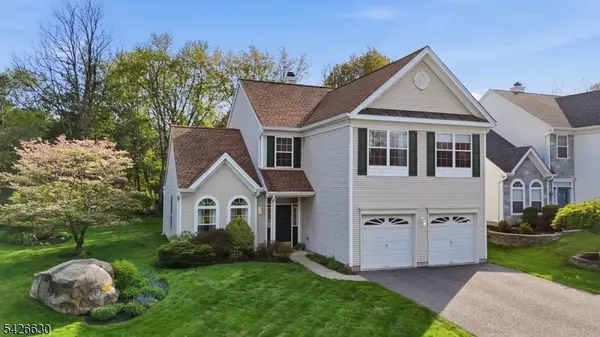 3 Bouwrey Pl, Readington Twp., NJ 08889