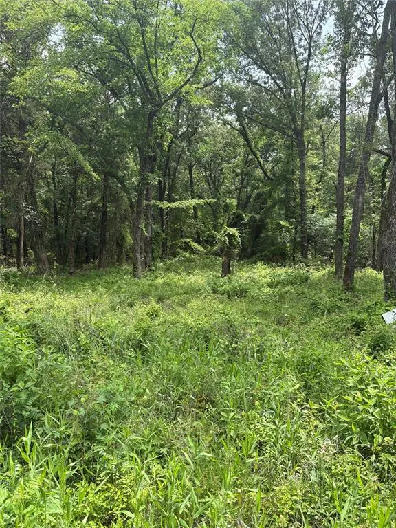 0 County Road 4112, Canton, TX 75103