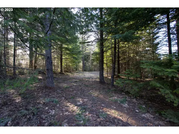1311 Lacock Kelchner RD, Underwood, WA 98651