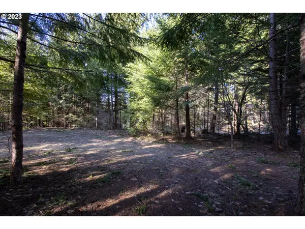 1311 Lacock Kelchner RD, Underwood, WA 98651