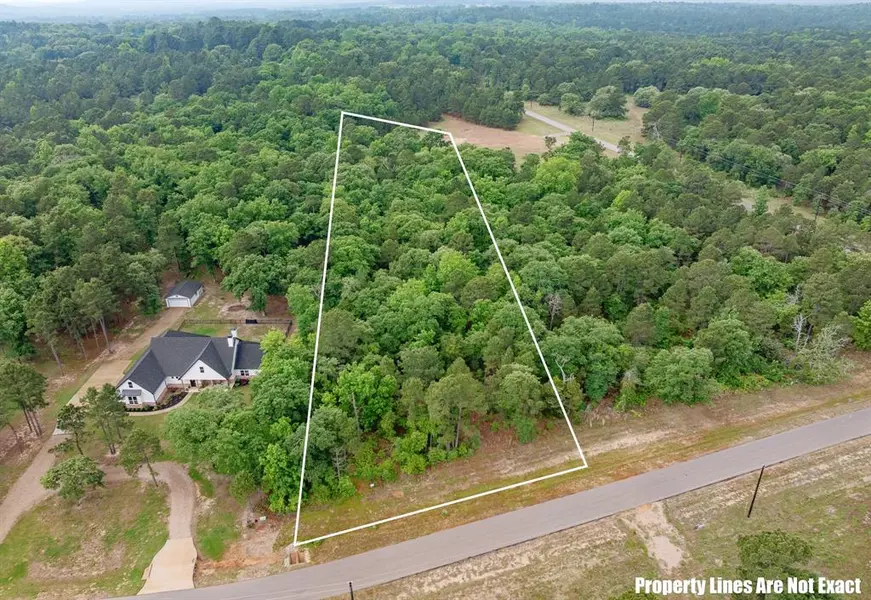 3121 Shadow Pines, Larue, TX 75770