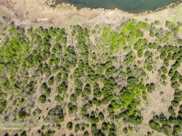 930 Lakeside Drive, Avalon, TX 76623