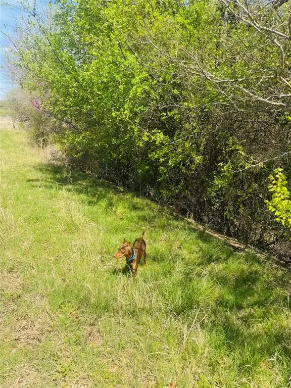 TBD Georgia Pass, Desdemona, TX 76445