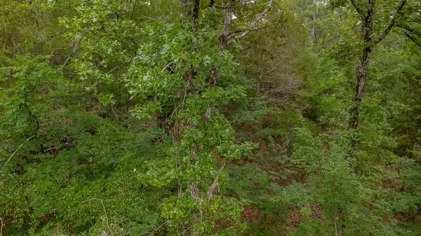 1714 Pineview Lane, Hideaway, TX 75771