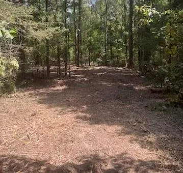 10 Acres Fm 852, Gilmer, TX 75644
