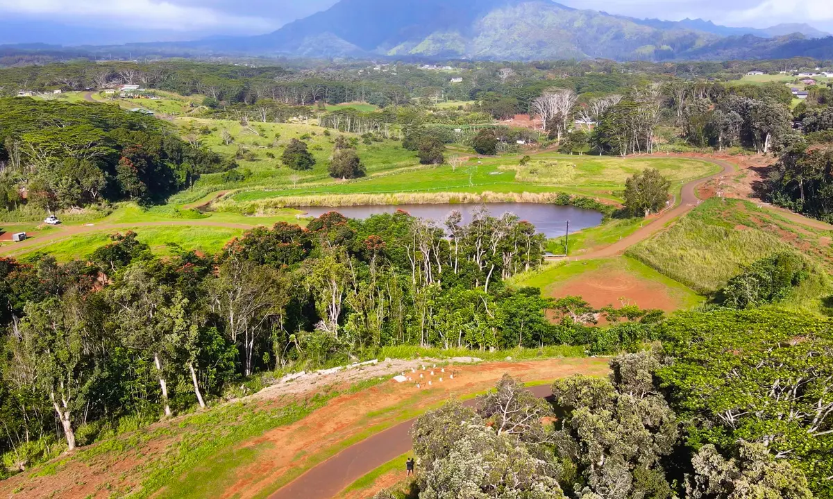 #7E, Kapaa, HI 96746