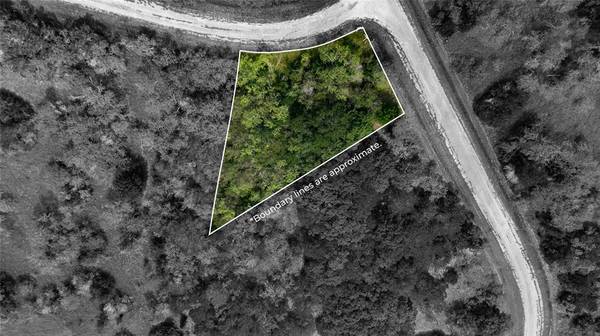 44072 Mountain Sage Drive, Whitney, TX 76692