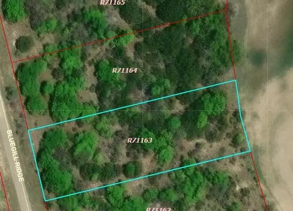1065 Bluegill Ridge, Bluff Dale, TX 76433