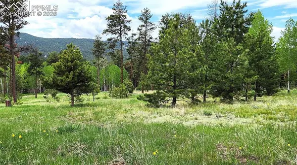 210 Bridlewood LN, Woodland Park, CO 80863