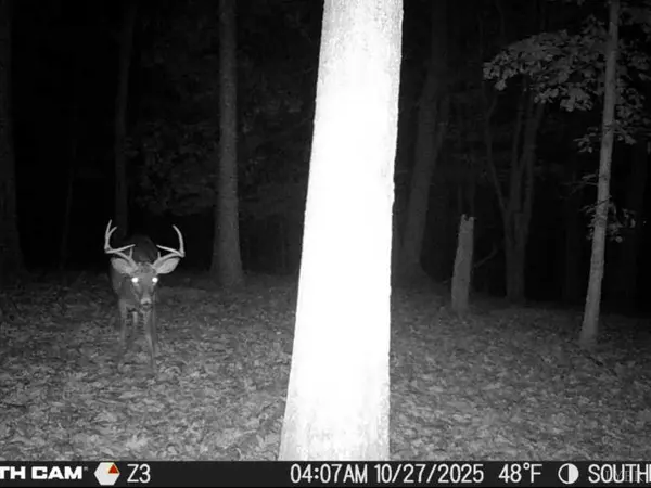 0 Wagon Trail Rd, Monroe, VA 24574