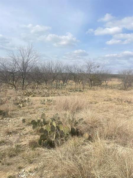 TBD County Road 221, Brookesmith, TX 76827
