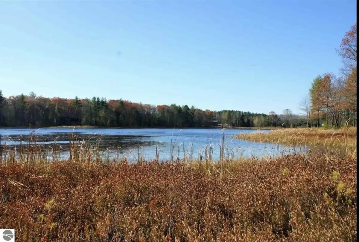312 Blue Heron DR, Orange Twp, MI 49646