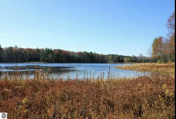 312 Blue Heron DR, Orange Twp, MI 49646
