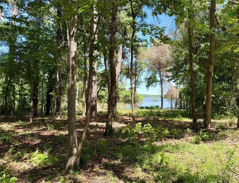 0000 County Road 3202, Chandler, TX 75758