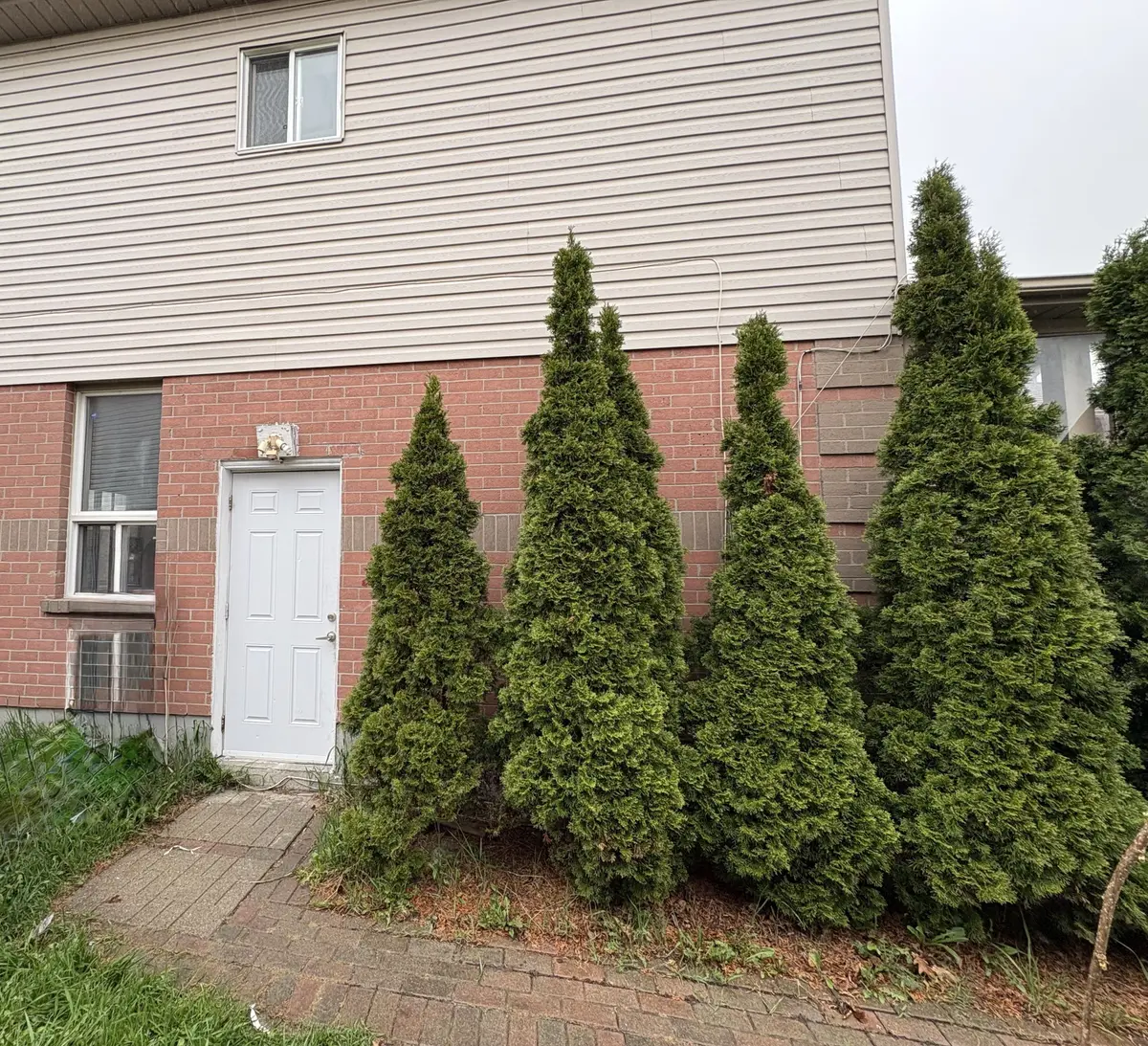 11 Saddlecreek CT, Brampton, ON L6Y 4V6
