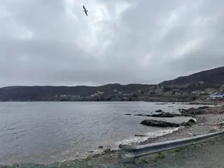 Lot 2 OLD MADDOX COVE Road, Maddox Cove, NL A0A 3H0