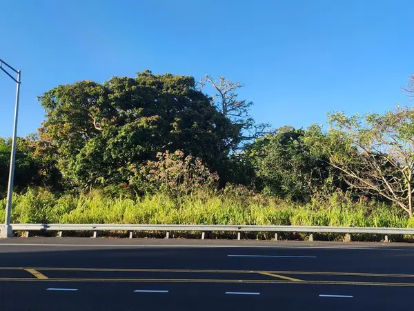 81-6242 NAPOOPOO RD,  Captain Cook,  HI 96704